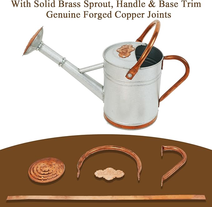 1 Gallon Galvalume Metal Watering Can with Solid Brass Sprout, Handle & Base Trim - Genuine Forged Copper Joints for Indoor/Outdoor Plants, Garden, Balcony for Kids and Adults (Stardust & Vermilion)