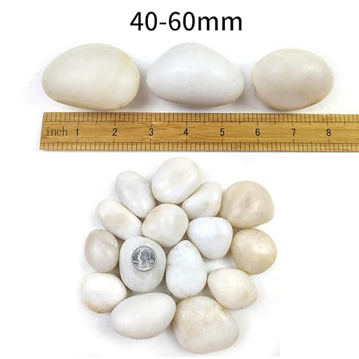 10LB White River Rocks - 2-3 inch High Polished Decorative Pebbles for Landscaping, Outdoor Decor and Plants