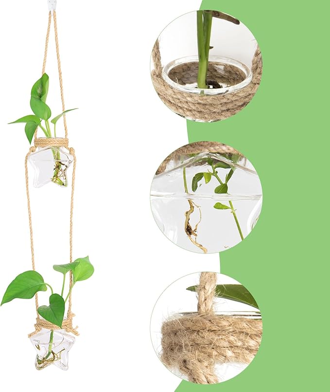 XXXFLOWER Wall Hanging Propagation Station，2 Tired Star Shaped Glass Flower Vase for Hydroponic Planter Terrarium for Plant Cutting Home Office Living Room Garden Decor