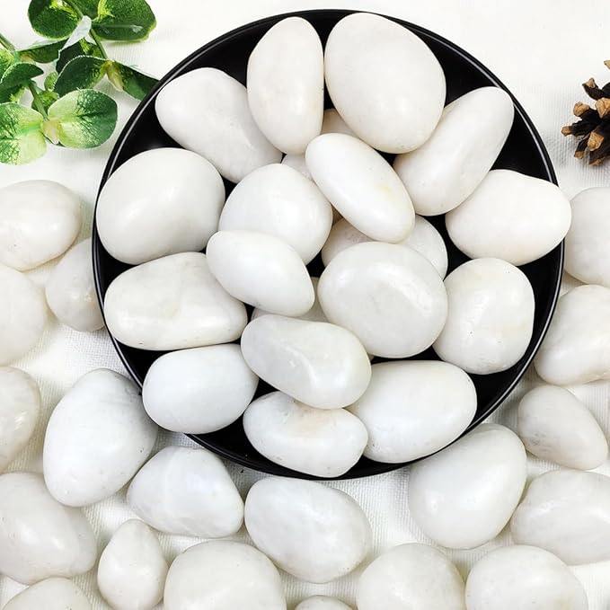 20lbs White River Rocks, 1-2 Inch Natural Pebbles for Indoor Plants, High Polished Decorative Stones Vase Filler Fish Tank Aquariums Landscaping Garden Outdoor and Indoor DIY