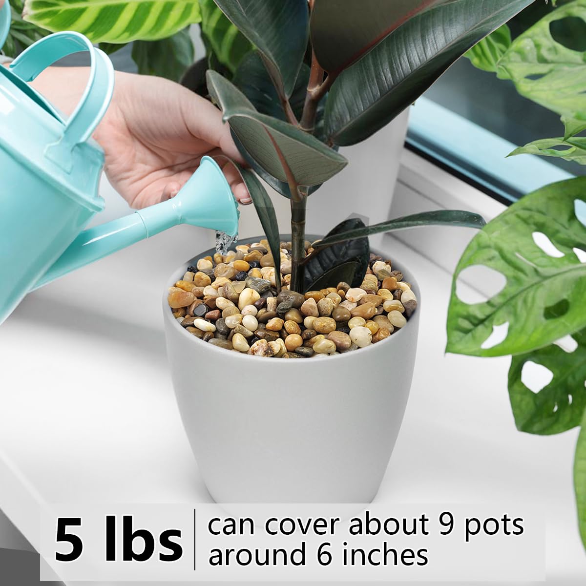 5LB Succulent and Cactus Gravel Pebbles, 3/8 Inch Decorative Polished Stones, River Rocks for Plants, Vases, Aquariums, Terrarium and Outdoor Gardening, Natural