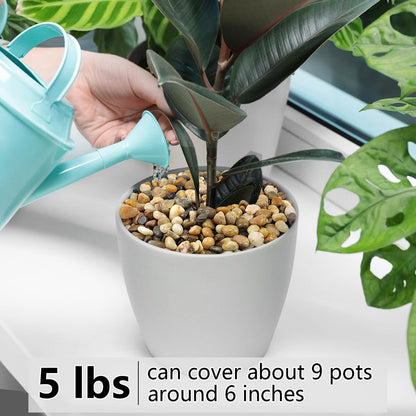 5LB Succulent and Cactus Gravel Pebbles, 3/8 Inch Decorative Polished Stones, River Rocks for Plants, Vases, Aquariums, Terrarium and Outdoor Gardening, Natural