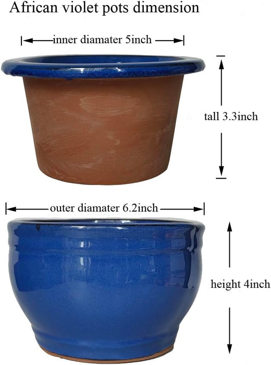 African Violet Pots Self Watering Round Ceramic Violet Pot (Blue, 6 inch)