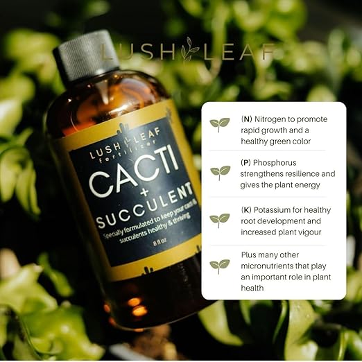 Lush Leaf | Plant Food (Cacti Succulent)