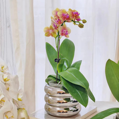 Ceramic Plant Pot Indoor, 4.7 Inch Flower Pot with Drainage Hole, Small Bubble Design Ceramic Planter for Home & Office Decor (Silver)