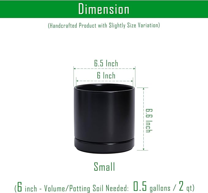 D'vine Dev Set of 2 Plants Pots, 6.5 Inch Ceramic Planter Pot for Plants with Drainage Hole and Saucer, Black, 94-V-C-2