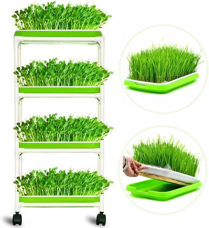 4 Layers Sprout Trays with Extra Strength Plastic Shelf Soil-Free Healthy Wheatgrass Seeds Grower & Storage Trays for Garden Home Office