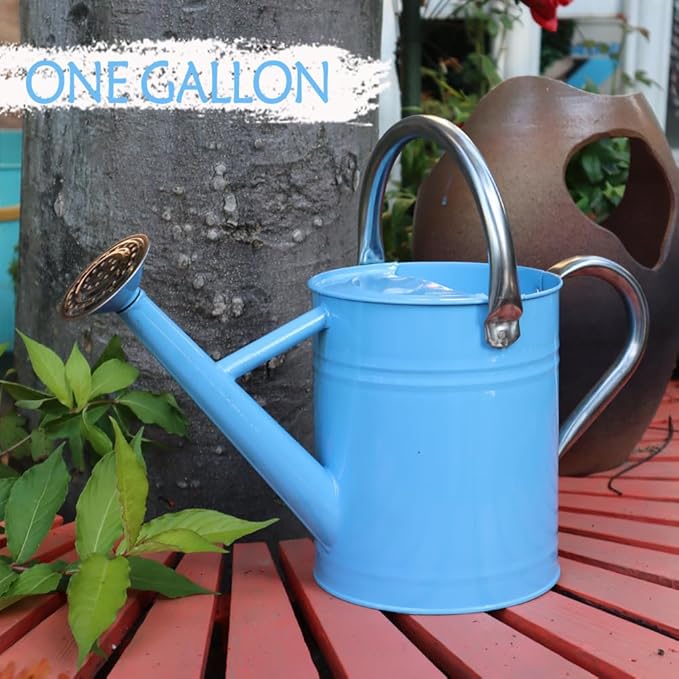 Metal Watering Can, One Gallon Watering Cans Stainless Steel for Outdoor Indoor Garden Plants Watering (Stainless Steel Handle Blue)