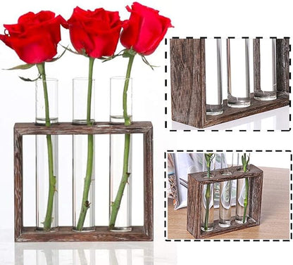 Wooden Propagation Station with 3 Glass Test Tubes, Tabletop Glass Terrarium Holder for Cuttings Hydroponics, Home Office Desk Decor Gift for Women Mom Plant Lovers, Brown