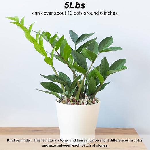 Landscaping Pebbles River Rocks Decorative Ornamental Pebbles Garden Landscaping Stones Gravel Filler for Home Decoration Flower Bed Fish Tank Plants Vases Succulents (1, Green, 5 Pounds)