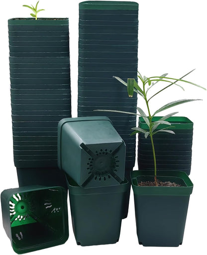 Square Nursery Seedling Pot 3.5 Inches 90 Pcs, Small Nursery Pot Plastic Thick and Sturdy Seed Start Germination Pot for Plant Propagation and Seeding(Green,3.54 Inches, 90Pcs)