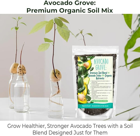 Avocado Tree Soil – Premium Organic Potting Mix for Avocado Trees | Tailored pH & Organic Nutrients | Fast-Draining & Moisture-Retaining | Indoor & Outdoor Use (3 QUARTS)