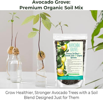Avocado Tree Soil – Premium Organic Potting Mix for Avocado Trees | Tailored pH & Organic Nutrients | Fast-Draining & Moisture-Retaining | Indoor & Outdoor Use (2 QUARTS)