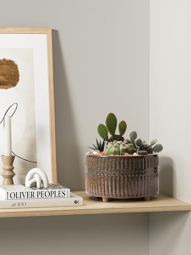 LE TAUCI Succulent Pots, 6.5+8 Inch Ceramic Pots for Plants Indoor, Shallow Round Succulent Planters with Drainage Hole, Set of 2, Reactive Glaze Black