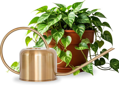 Stainless Steel Watering Can for Houseplants by Houseplant Resource Center | 1L Capacity for Indoor/Outdoor Plants in Brushed Gold