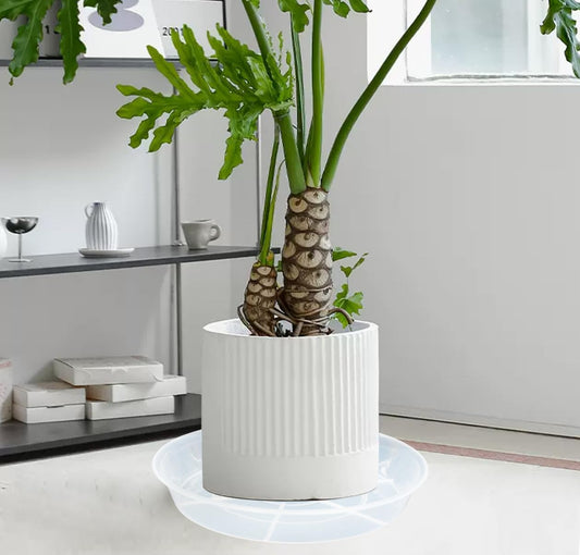 4 Pack of 16 inch Plant Saucer (13.8 Inch Base), 1.7" Depth Tray, Large Deep Garden Plastic Flower Planter Plant Trays for Indoors Outdoor Bath Bath (16", Clear)