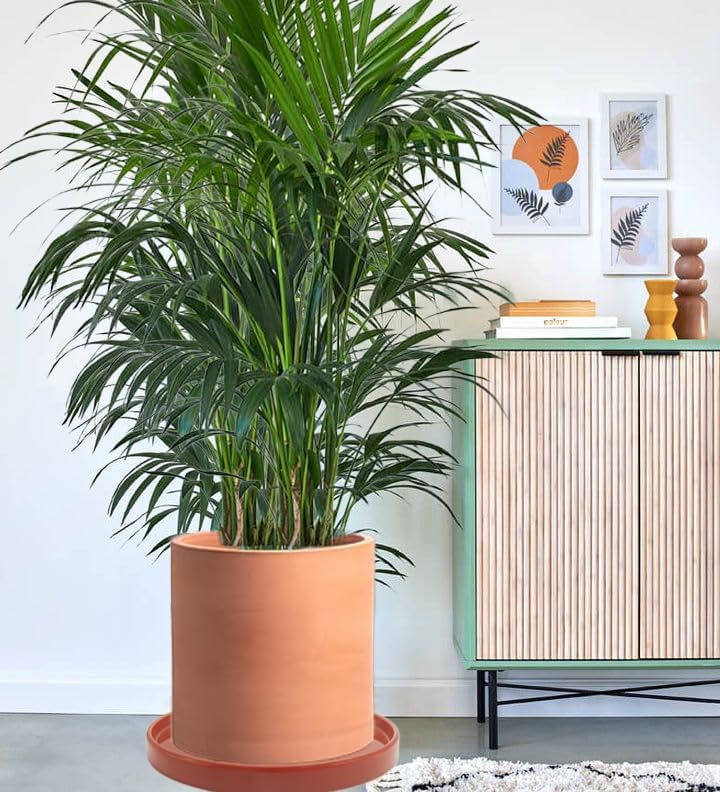 Ceramic Plant Saucer Pot Tray 12.5 Inch, Planter Saucers 6 7 8 9 10 11 12 15 Inch, Durable Sturdy Flower Drainage drip Water Tray for Glazed Pots Base (12.5 Inch- Red Terracotta)