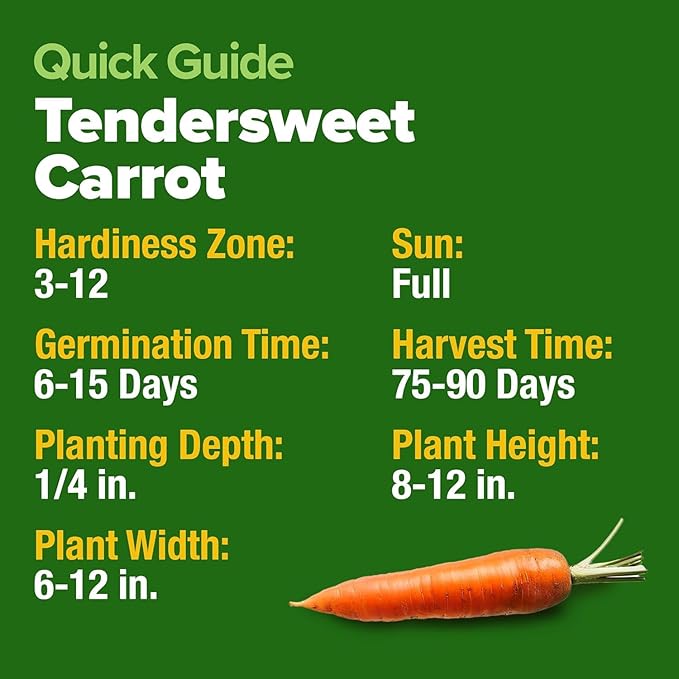 HOME GROWN Tendersweet Carrots Seeds 1 Pack - 3000 Non-GMO Heirloom Carrot Seeds for Planting Outdoors - High- (Daucus carota subsp. sativus)