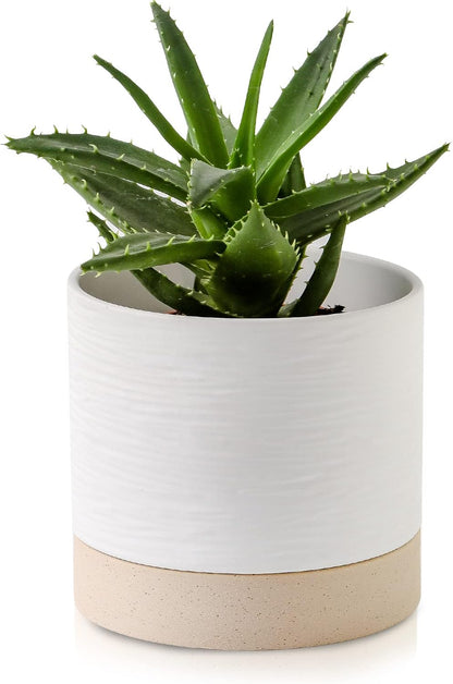 Nihow Ceramic Plant Pot: 6 Inch Planter with Drainage Hole & Saucer for Indoor & Outdoor Plants - Cylinder Round Flower Pot for Succulent/Herbs/Violets - White & Brown