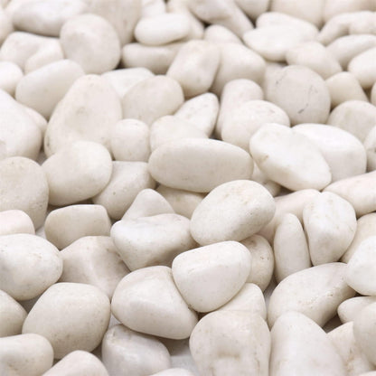 White Rocks for Plants. White Decorative Polished Pebbles. 1 to 2 Inch – 10lbs for Plants, Garden, Succulents, pots, Plants (MD (1 to 2 Inch), White - Lightly Polished, 10)