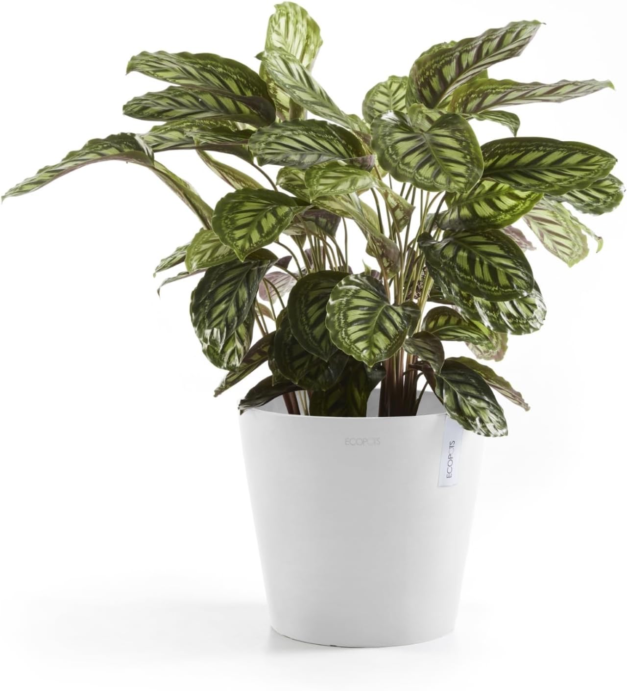 Ecopots Amsterdam Durable Modern Round Indoor/Outdoor Recycled-Based Composite Flower Pot Planter, Pure White, 10"