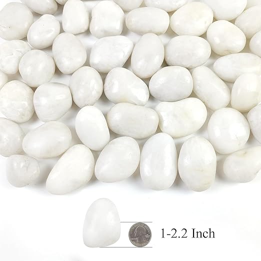 5LB Polished White River Rocks for Plants,1-2.2 Inch Polished Pebbles for Garden Decoration Stones for Landscaping Aquarium Fish Tank Succulents