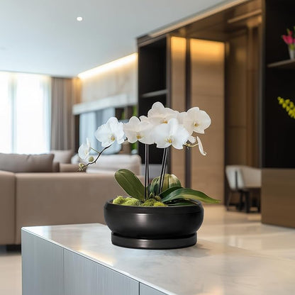 Succulent Planters 8 Inch - Ceramic Bonsai Pots for Indoor Outdoor, Round Succulent Pots with Drainage Hole and Saucer, Modern Shallow Planter Bowl, Garden Home Decor, Birthday Gifts, Black