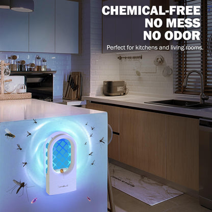 10 Pack Refills for Flying Insect Trap, Indoor Fly Trap for Moth, Gnat Killer Indoor, Bug Killer (Device Not Included) (Refill - 10 Double Sided Glue Cards)