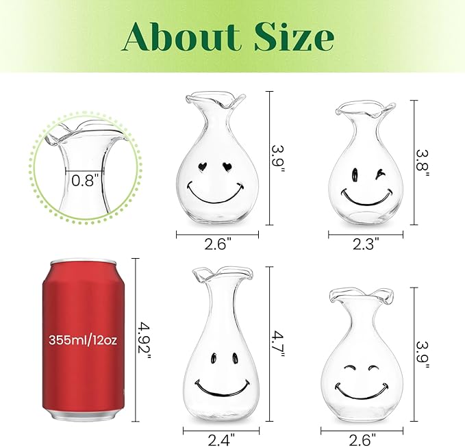 Hewory Smiley Face Glass Planter: 4 PCS Cute Propagation Stations for Hydroponic Plants Cutting Flowers - Clear Terrarium Propgation Vases Jars for Home Office Decor Plant Lover Gifts