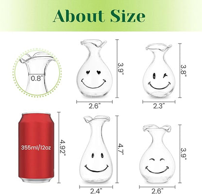 Hewory Smiley Face Glass Planter: 4 PCS Cute Propagation Stations for Hydroponic Plants Cutting Flowers - Clear Terrarium Propgation Vases Jars for Home Office Decor Plant Lover Gifts