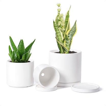 D'vine Dev White Terracotta Pots for Plants, 4.2 Inch 5.3 Inch 6.5 Inch, Succulent Planter Pot with Drainage and Saucer, 40-T-A-1