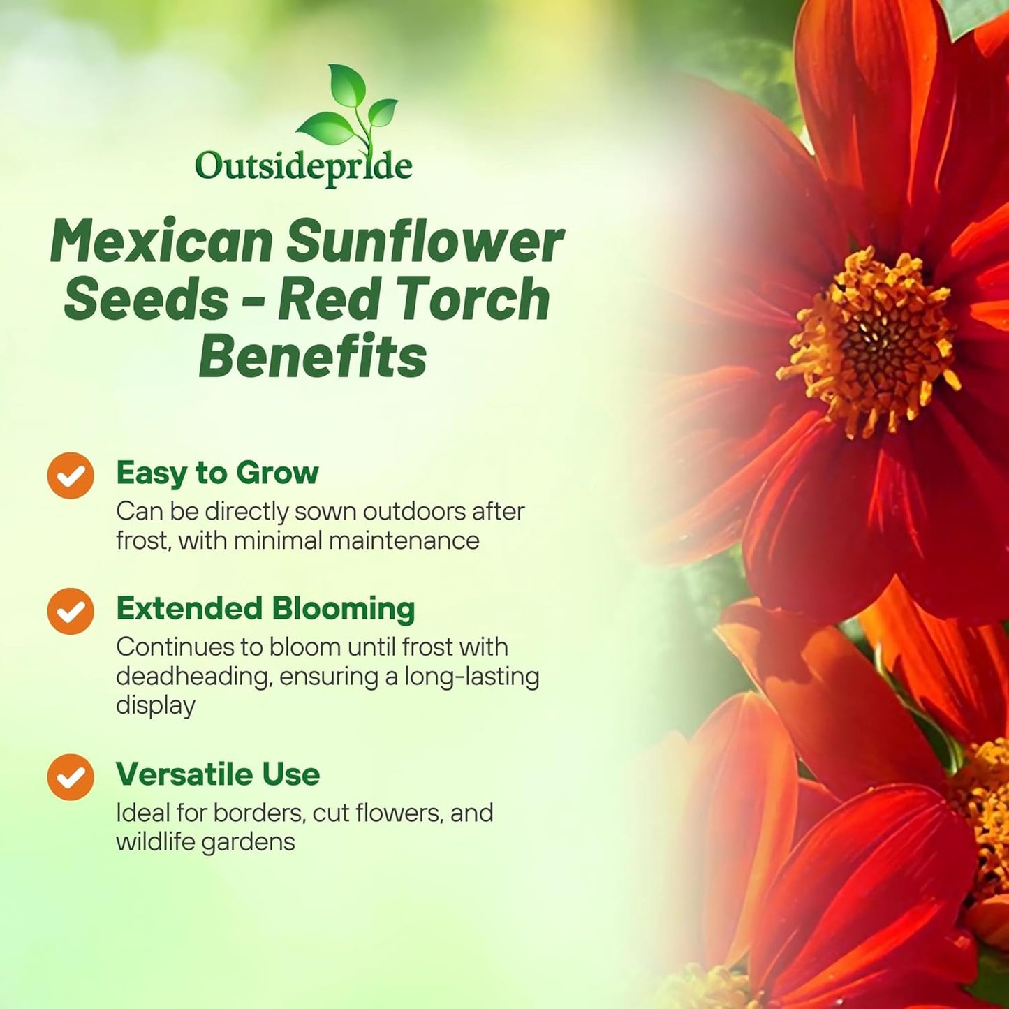 Outsidepride Red Torch Mexican Sunflower Seeds - 1000 Seeds Annual Tithonia, Fast-Growing, Heat & Drought-Tolerant Flower Seeds for Pollinator Gardens, Landscapes, & Flower Arrangements (AAS Winner)