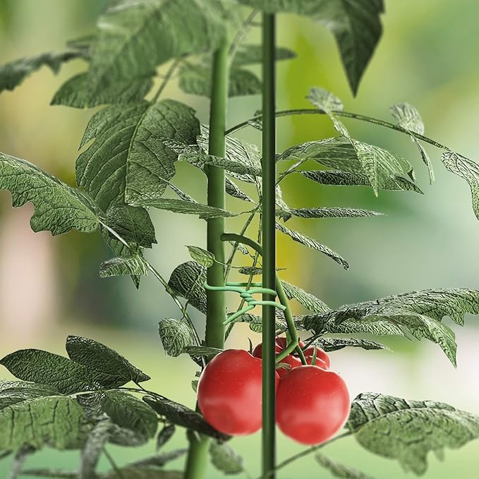 AC Infinity Soft Twist Ties, 10m (32.8 ft.) All-Purpose Reusable Green Wire Plant Ties, for Gardening, Plant Support, and Home Office Organization