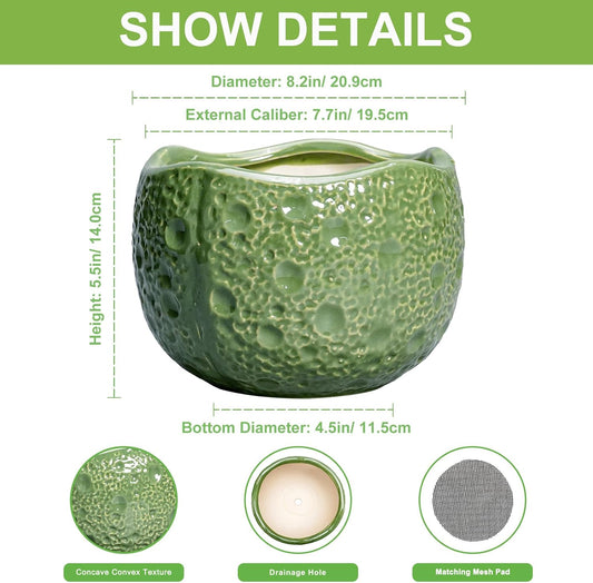 8 Inch Plant Pot - Ceramic Pots for Plants with Drainage Hole, Round Decorative Plant Pots for Indoor Outdoor, Modern Unique Flower Pot, Office Decor, Garden Gifts, Green