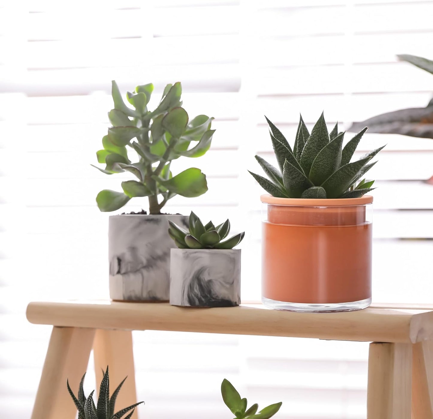 Phoenix Vine 4 Inch Self Watering Plants Pot, Design Terracotta Pot for Plants, Indoor Cylinder Terra Cotta Planter with Glass Vase, Set of 2, 51-A-E-2