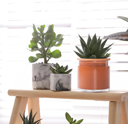 Phoenix Vine 4 Inch Self Watering Plants Pot, Design Terracotta Pot for Plants, Indoor Cylinder Terra Cotta Planter with Glass Vase, Set of 2, 51-A-E-2