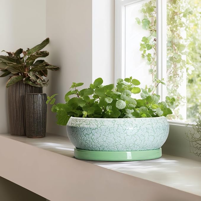 Bonsai Pots - 13 Inch Ceramic Succulent Pots for Indoor Outdoor, Large Shallow Planter with Drainage Hole and Saucer, Round Flower Succulent Planter, Patio Decor, Gifts for Women, Green