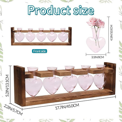 Plant Terrarium Hanging Propagation Stations Gift for Women Air Plants Holder with Wooden Stand Heart Glass