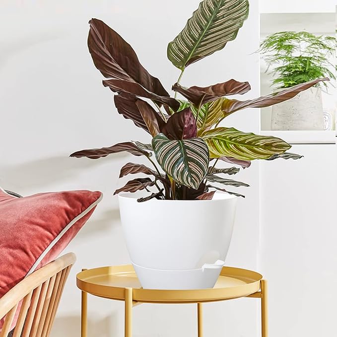 10 inch Self Watering Planters, 2 Pack Large Plastic Plant Pots with Deep Reservior and High Drainage Holes for Indoor Outdoor Plants and Flowers, White