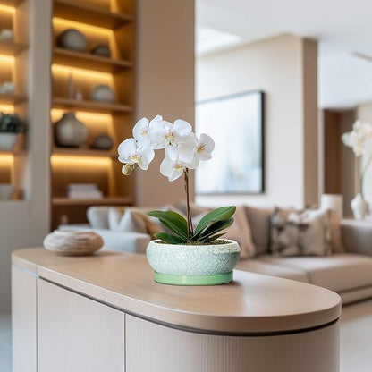 Succulent Pot 6 Inch - Ceramic Bonsai Pots Indoor Outdoor, Shallow Plant Pots with Drainage Hole and Saucer, Small Bonsai Planter, Round Bowl Planter, Desk Decor, Housewarming Gifts, Green