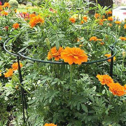 6 Pack Large 60cm Tall Bow Plant Support Stakes, Strong Metal Garden Supports Half Round Flower Hoops