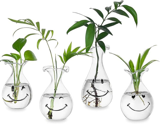 Hewory Smiley Face Glass Planter: 4 PCS Cute Propagation Stations for Hydroponic Plants Cutting Flowers - Clear Terrarium Propgation Vases Jars for Home Office Decor Plant Lover Gifts