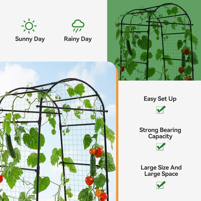 Lalahoni Garden Arch Trellis for Climbing Plants Outdoor, 80 Inch Tall Grape Trellis Metal Vine Plants Support Flower Vegetable Tomato, Cucumber Trellis for Raised Bed, Black