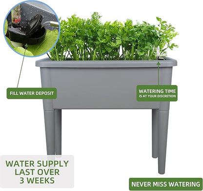 Dexceder 13.2 Gallon Self Watering Raised Garden Bed with Ventilation Transparent Lid Greenhouse, Deepen Vegetable Flower Box Planter Pot with Removeble Legs & Water Level Indicator (Deep Gray)