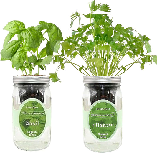 2-Pack Hydroponic Mason Jar Herb Garden Kit, Indoor Herb Garden Self-Watering Starter Kit (Basil,Cilantro)