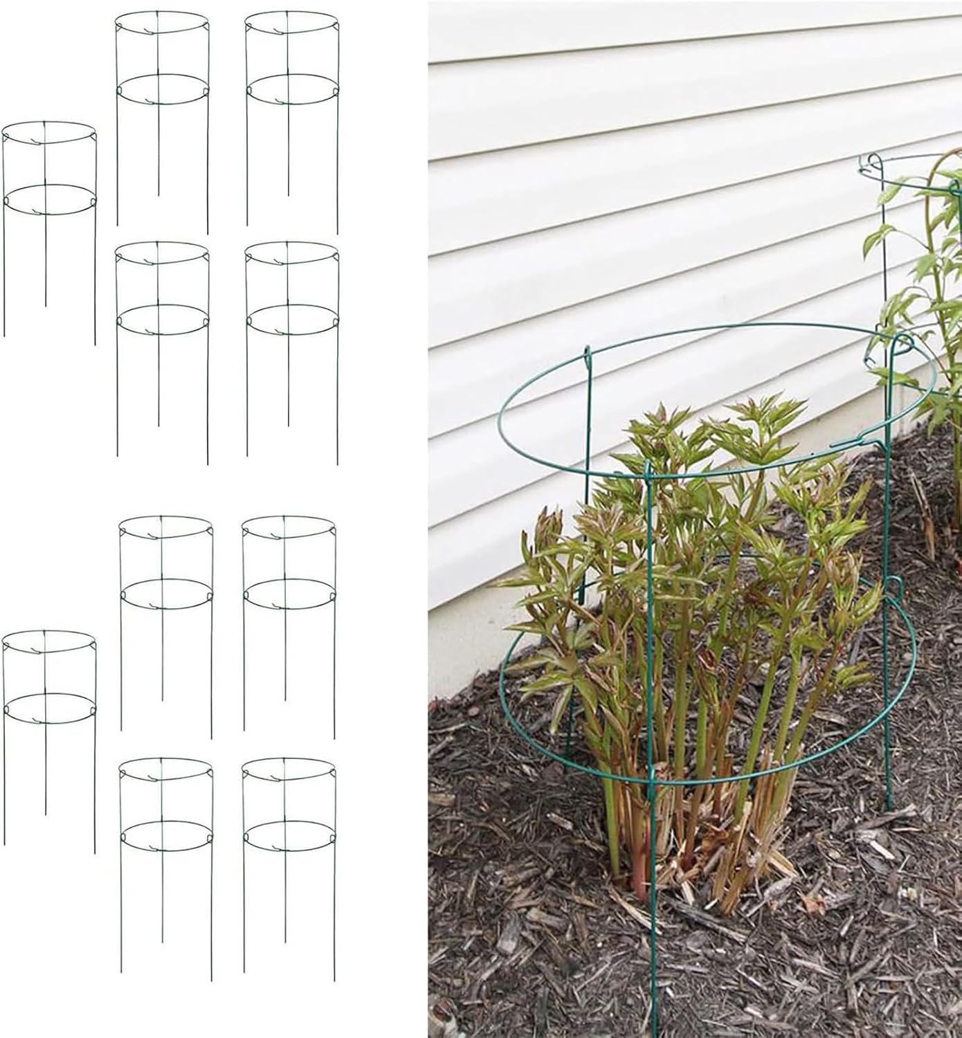36" x 18" Peony Double Ring Plant Support, Pack of 10 Plant Support Stakes for Tomatoes Peony Lily Rose Plant Support Rings Peony Cages for Outdoor Plants Flowers Vegetables