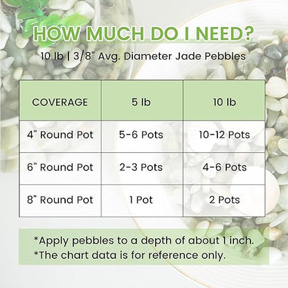 SIDONG 10 LB Jade Pebbles, 2/5 Inch Natural Decorative Polished Jade Stones, Jade River Rocks for Succulents, Cactus, Vases, Indoor Plants, Garden Landscaping, Bamboo