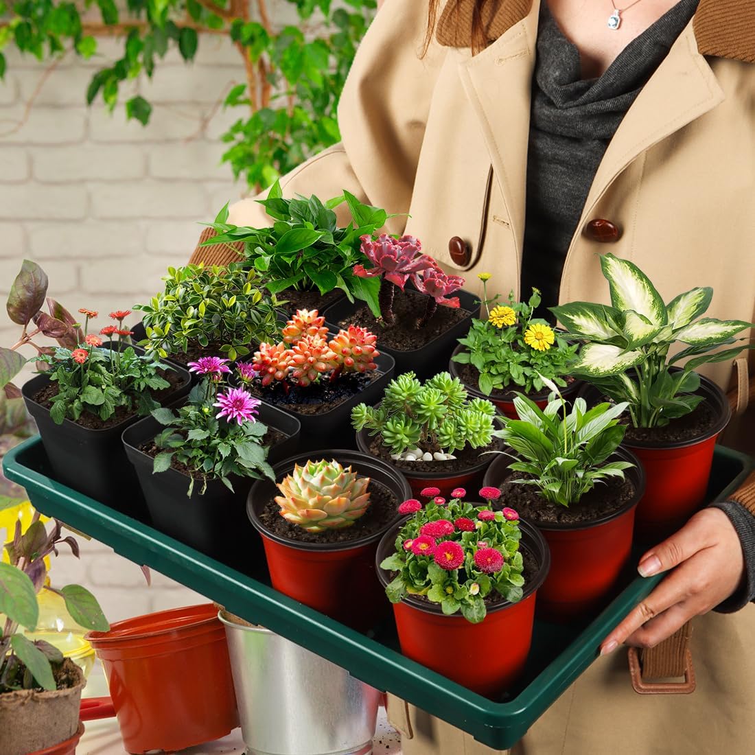 5 Pack Seed Starter Trays (17"x11"x2"), Plastic Flat Nursery Pots Trays, Durable Carrying Seedling Starter Tray, Reusable Tray for Planting and Collecting Drainage Water (Green)