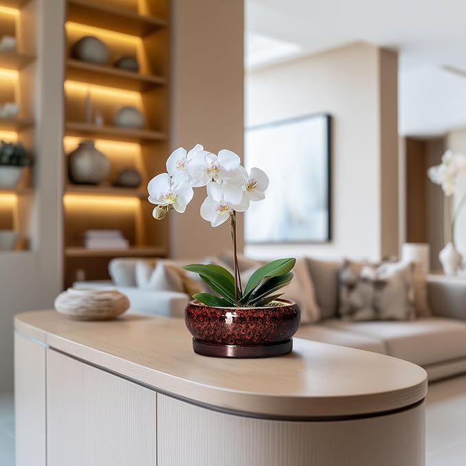 Succulent Planters 6 Inch - Ceramic Bonsai Pots with Drainage Hole and Saucer, Small Bonsai Planter, Round Planter Bowl, Shallow Plant Pots Indoor, Room Decor, Gifts for Plant Lovers, Red