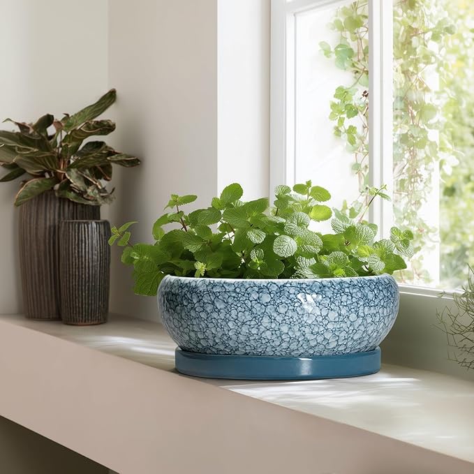 Large Succulent Planters - 13 Inch Ceramic Bonsai Pots with Drainage Hole and Saucer, Shallow Plant Pots Indoor Outdoor, Large Planter Bowl, Round Planter, Garden Decor, Gardening Gift, Blue